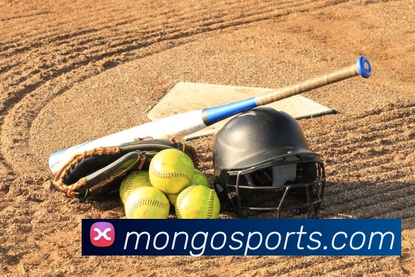 体育下注平台生态图